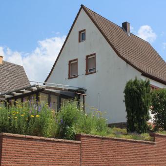 ++++ Verkauft Mölsheim: Einfamilienhaus in ruhiger Lage - Bild# 1